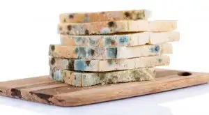 Sonhar com comida estragada