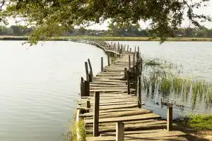 Sonhar com ponte de madeira Sonhar com ponte de madeira