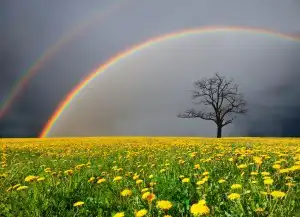 Sonhar com arco-íris no céu Sonhar com arco-íris no céu