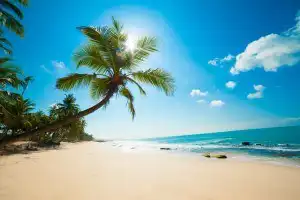 Sonhar com praia de dia Sonhar com praia de dia