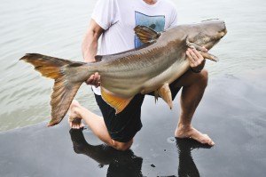 Sonhar que pesca peixe grande Sonhar que pesca peixe grande