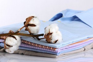 Sonhar com algodão Sonhar com algodão