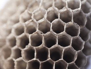 Sonhar com colmeia 2 Sonhar com colmeia 2