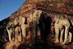 Sonhar com estátua 2 Sonhar com estátua 2