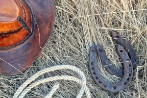 Sonhar com ferradura 3 Sonhar com ferradura 3