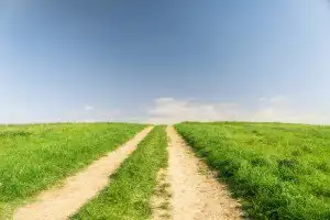 Sonhar com estrada 2 Sonhar com estrada 2