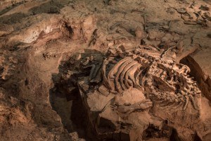 Sonhar com dinossauro Sonhar com dinossauro