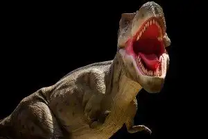 Sonhar com dinossauro 3 Sonhar com dinossauro 3