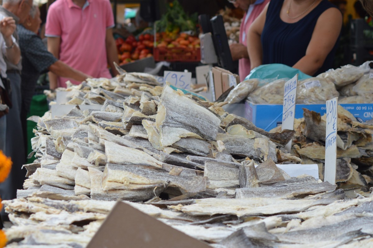 Sonhar com Bacalhau o que significado sonhar com Bacalhau