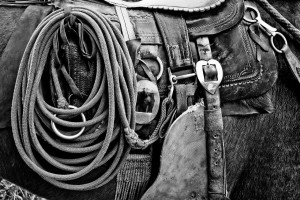 Sonhar com Arreio o que significado sonhar com Arreio