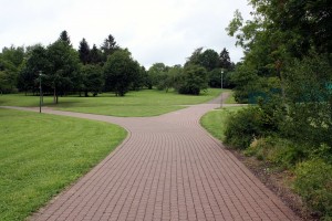 Sonhar com Bifurcação o que significado sonhar com Bifurcação