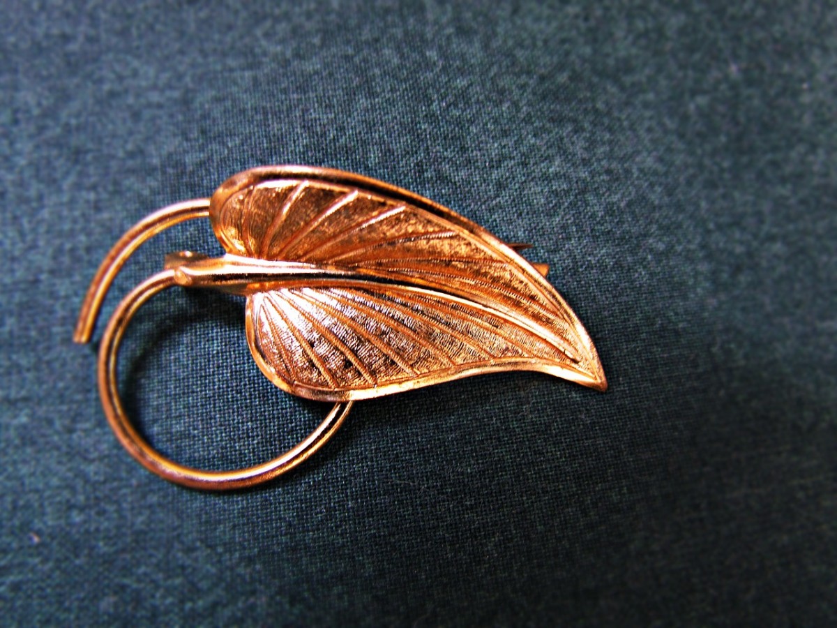 Sonhar com Broche o que significado sonhar com Broche