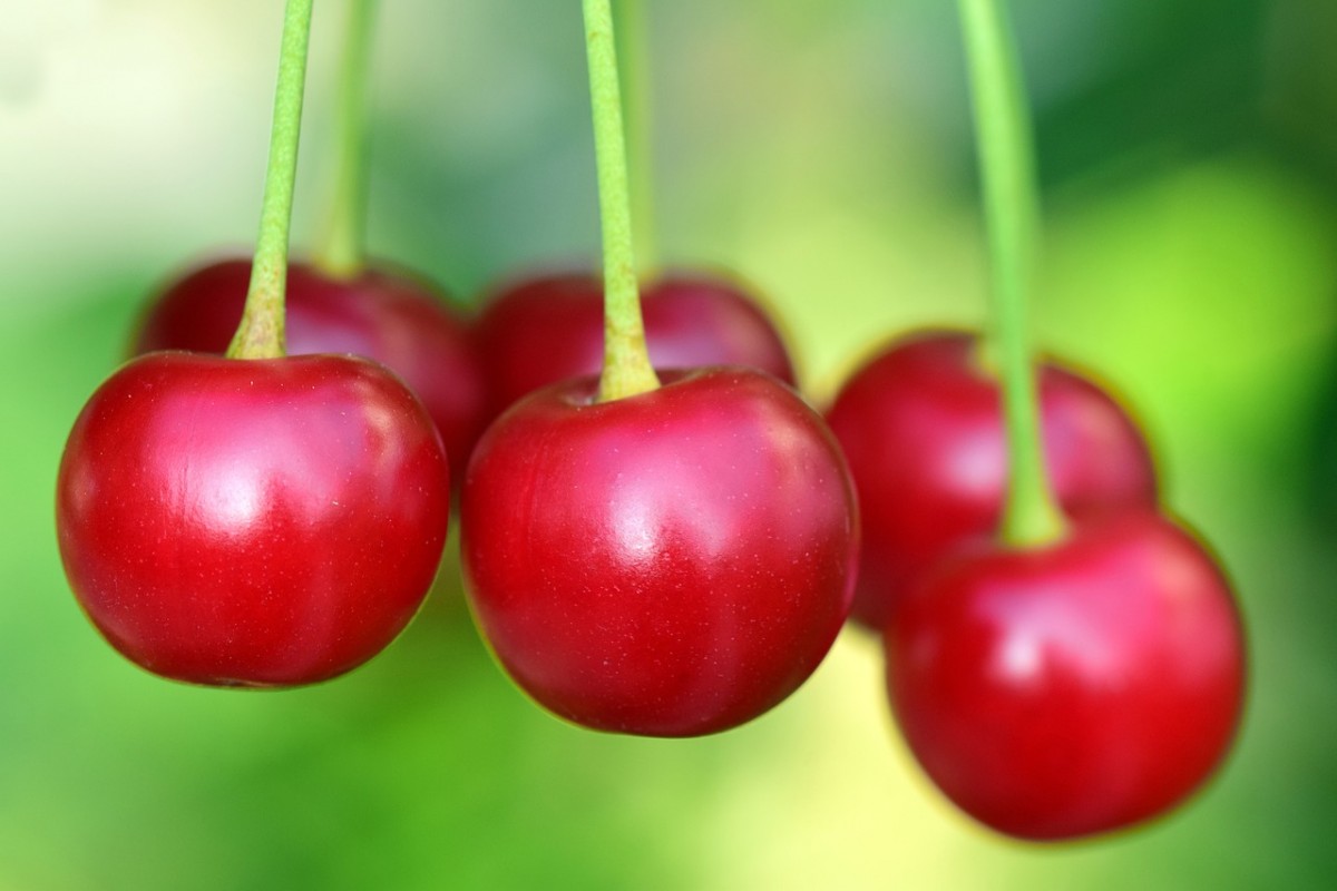 Sonhar com Cereja o que significado sonhar com Cereja