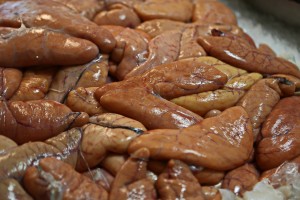 Sonhar com Entranhas o que significado sonhar com Entranhas