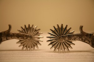 Sonhar com Esporas o que significado sonhar com Esporas