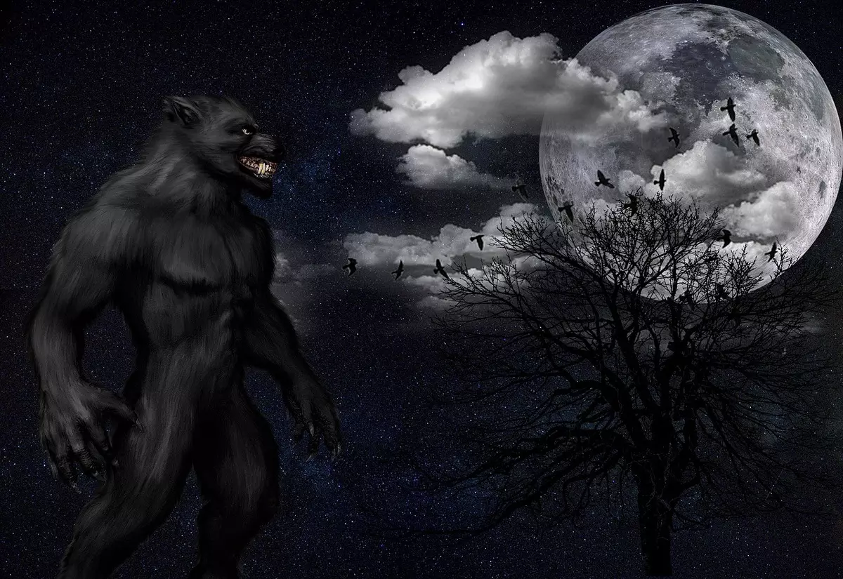 Sonhar com Lobisomem Sonhar com Lobisomem: imagem de um lobisomem ao luar