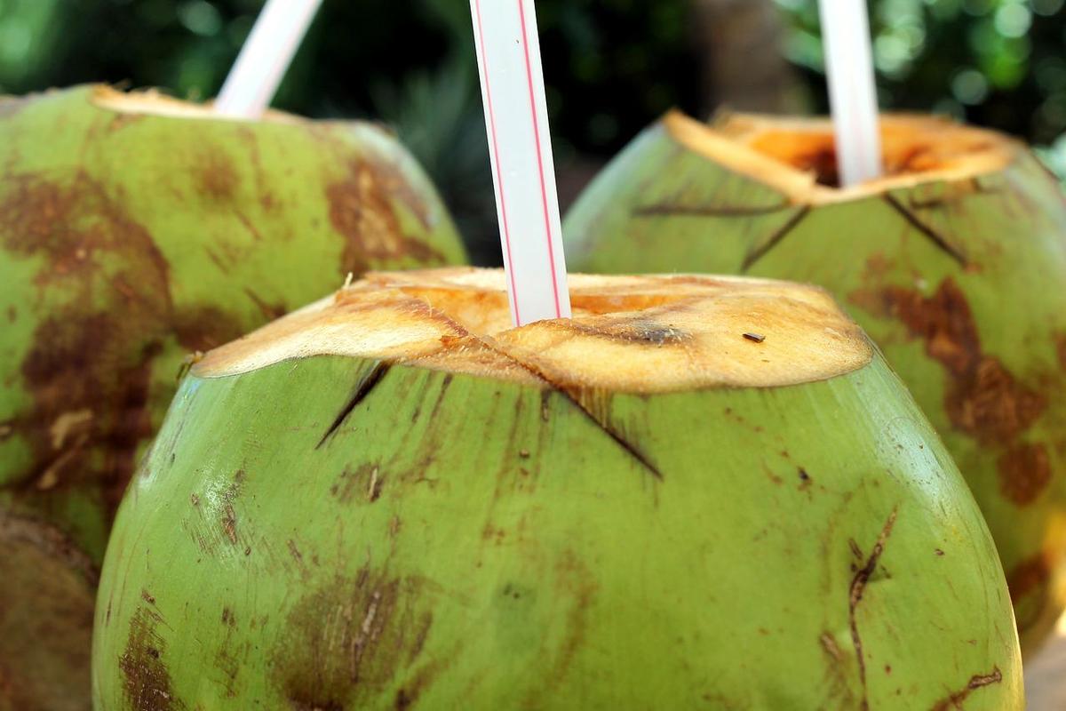 Sonhar com água de coco Água de coco