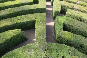 Sonhar com labirinto 2