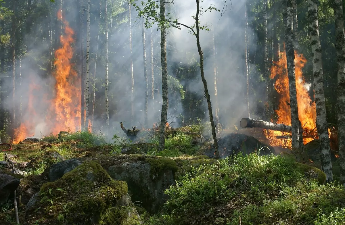 Sonhar com incêndio - Conheça o sinal importante desse sonho