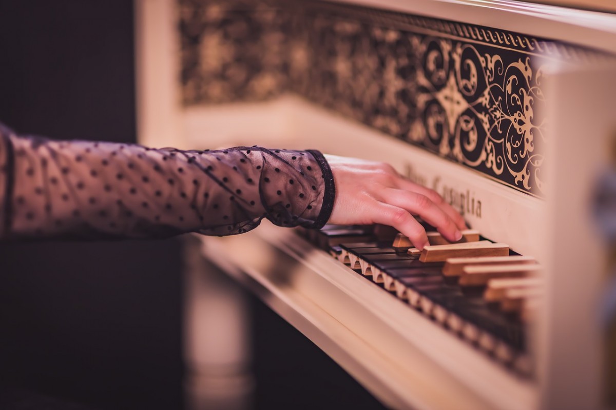 Sonhos Significado: sonhar com Cravo (inst. musical)