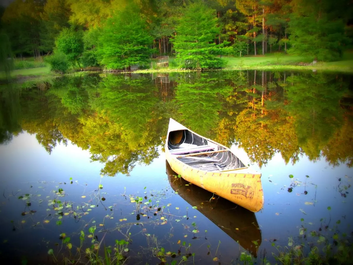  Sonhar com canoa - canoa em um rio