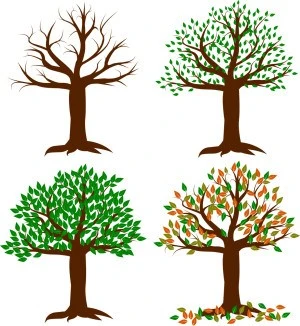 Imagens de árvores nas quatro estações: uma metáfora de mudanças da vida e suas possibilidades.