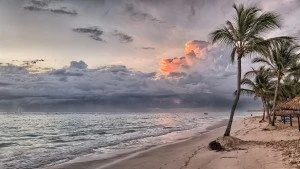 Praia paradisíaca, com coqueiro em primeiro plano, no pôr o sol